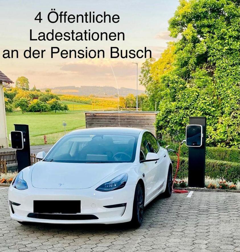 זאלם Pension Busch מראה חיצוני תמונה